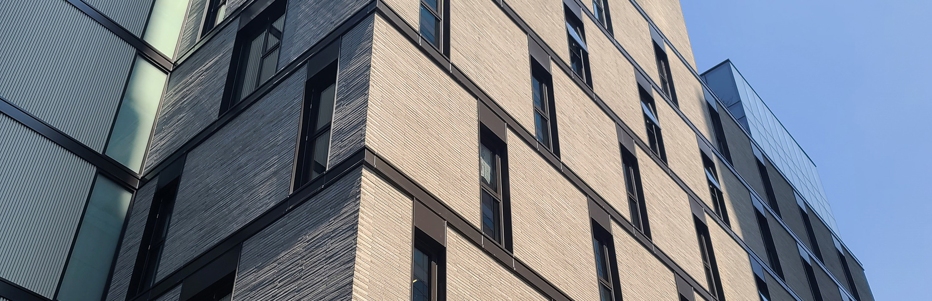 모노타일롱타일